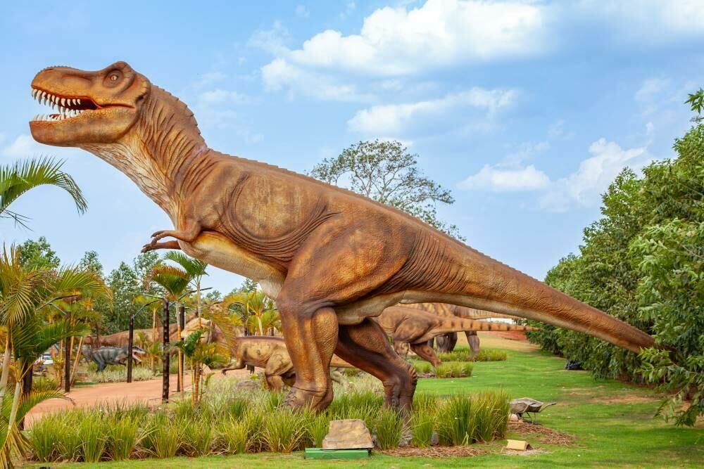 Thermas Acqualinda Dino